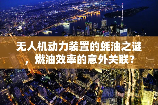 无人机动力装置的蚝油之谜，燃油效率的意外关联？