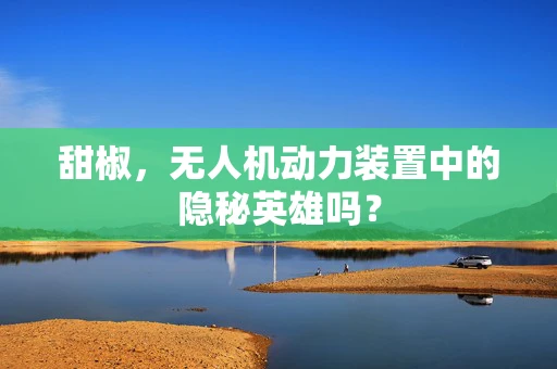 甜椒，无人机动力装置中的隐秘英雄吗？
