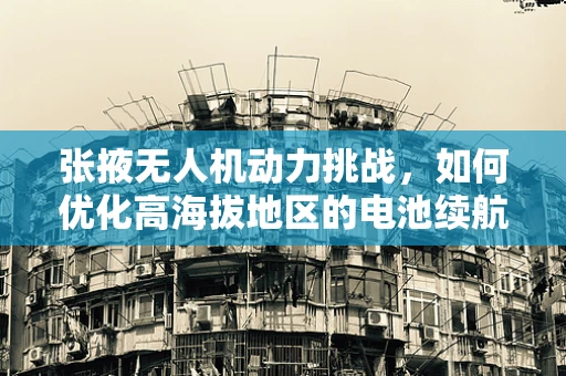 张掖无人机动力挑战，如何优化高海拔地区的电池续航能力？