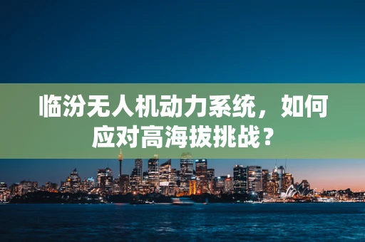临汾无人机动力系统，如何应对高海拔挑战？