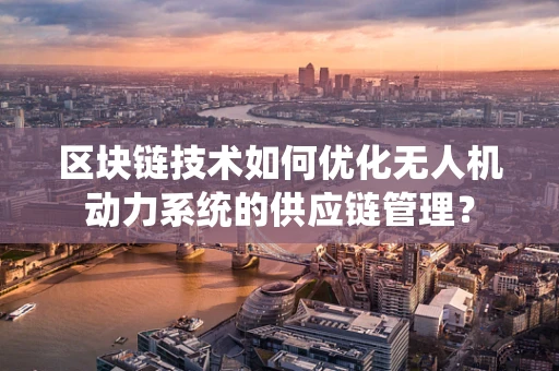 区块链技术如何优化无人机动力系统的供应链管理？