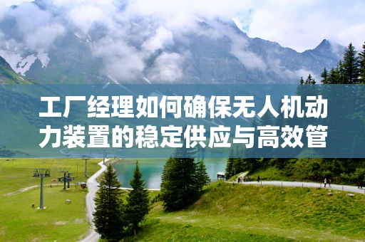 工厂经理如何确保无人机动力装置的稳定供应与高效管理？