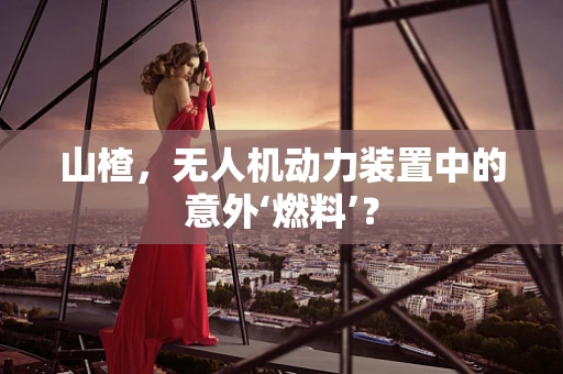 山楂，无人机动力装置中的意外‘燃料’？