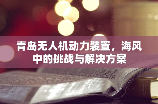 青岛无人机动力装置，海风中的挑战与解决方案