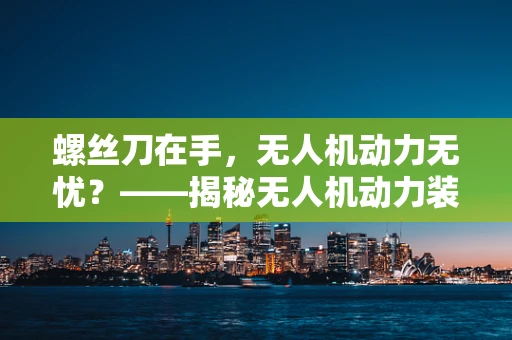 螺丝刀在手，无人机动力无忧？——揭秘无人机动力装置维护中的小工具大作用
