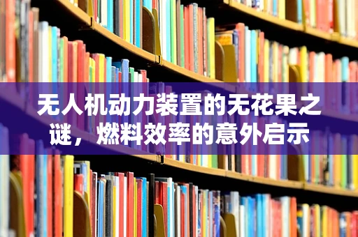 无人机动力装置的无花果之谜，燃料效率的意外启示