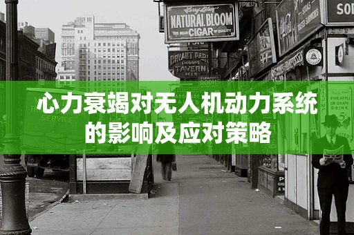 心力衰竭对无人机动力系统的影响及应对策略