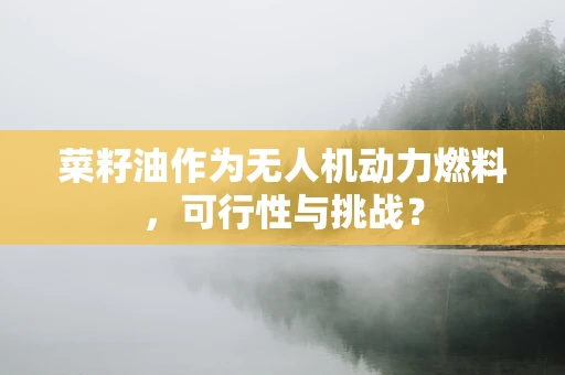 菜籽油作为无人机动力燃料，可行性与挑战？