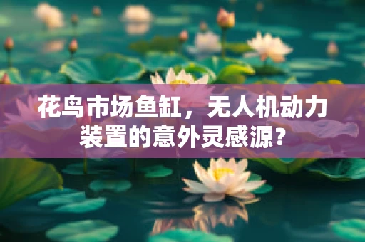 花鸟市场鱼缸，无人机动力装置的意外灵感源？