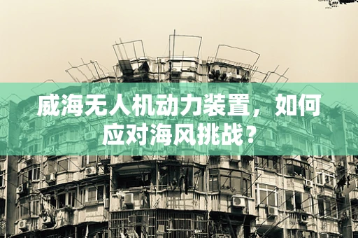 威海无人机动力装置，如何应对海风挑战？