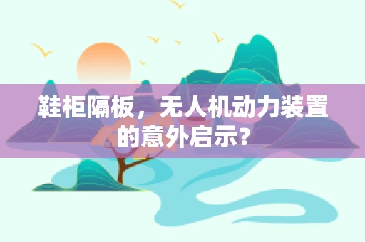 鞋柜隔板，无人机动力装置的意外启示？