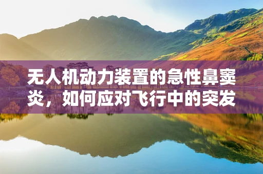 无人机动力装置的急性鼻窦炎，如何应对飞行中的突发故障？