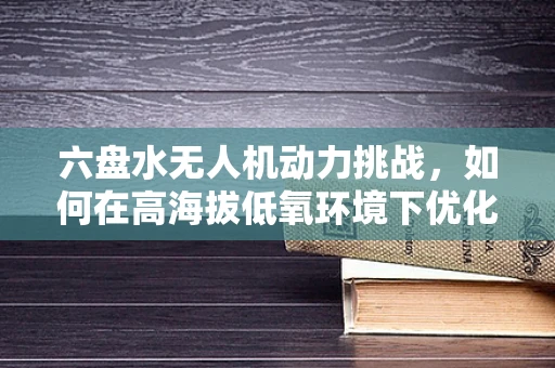六盘水无人机动力挑战，如何在高海拔低氧环境下优化电池续航？