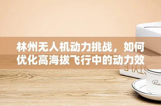 林州无人机动力挑战，如何优化高海拔飞行中的动力效率？
