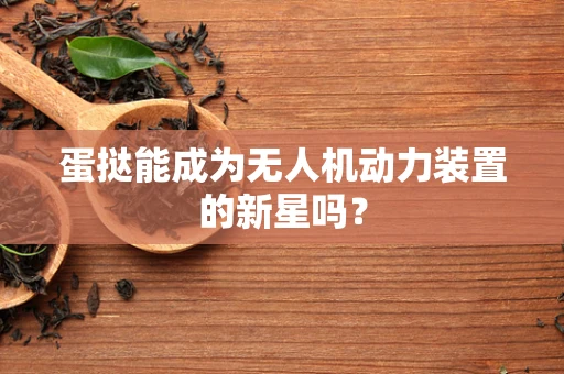 蛋挞能成为无人机动力装置的新星吗？