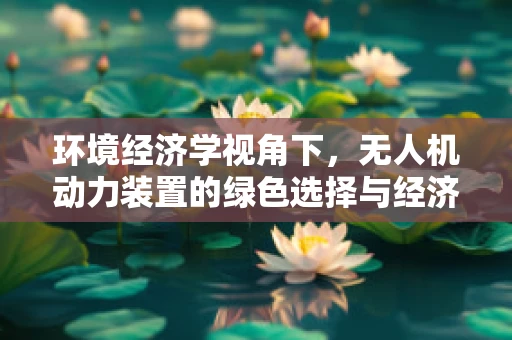 环境经济学视角下，无人机动力装置的绿色选择与经济考量