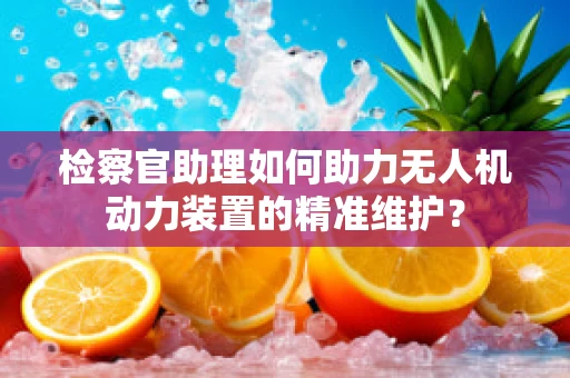 检察官助理如何助力无人机动力装置的精准维护？