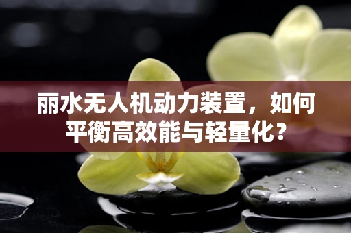 丽水无人机动力装置，如何平衡高效能与轻量化？