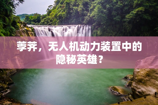 荸荠，无人机动力装置中的隐秘英雄？