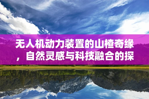无人机动力装置的山楂奇缘，自然灵感与科技融合的探索