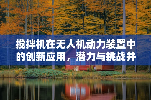 搅拌机在无人机动力装置中的创新应用，潜力与挑战并存？