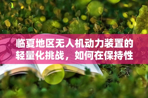 临夏地区无人机动力装置的轻量化挑战，如何在保持性能的同时减轻重量？