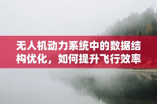 无人机动力系统中的数据结构优化，如何提升飞行效率？