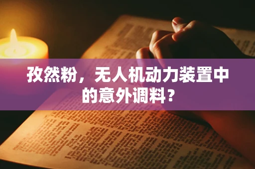 孜然粉，无人机动力装置中的意外调料？