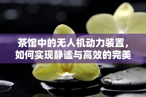 茶馆中的无人机动力装置，如何实现静谧与高效的完美结合？