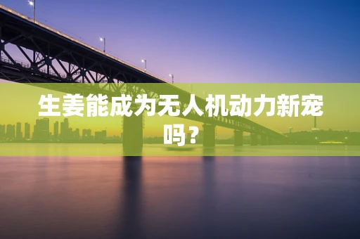 生姜能成为无人机动力新宠吗？