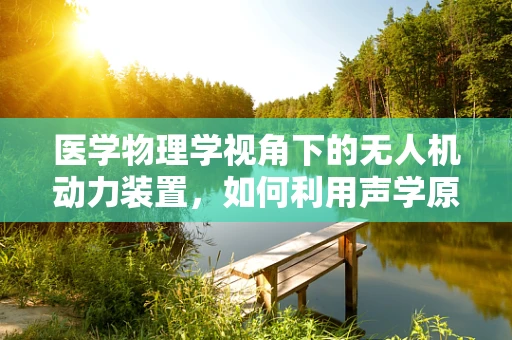 医学物理学视角下的无人机动力装置，如何利用声学原理提升飞行效率？