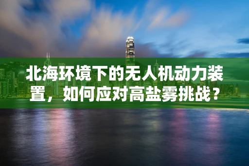 北海环境下的无人机动力装置，如何应对高盐雾挑战？