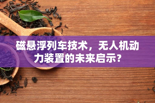 磁悬浮列车技术，无人机动力装置的未来启示？