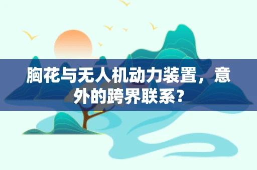 胸花与无人机动力装置，意外的跨界联系？