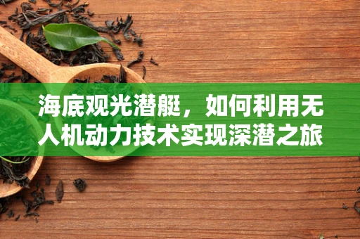 海底观光潜艇，如何利用无人机动力技术实现深潜之旅？