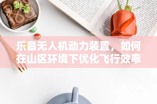 乐昌无人机动力装置，如何在山区环境下优化飞行效率？