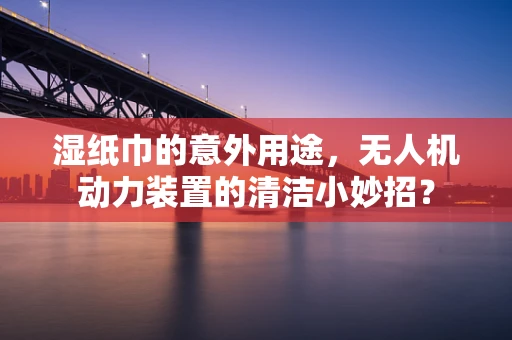 湿纸巾的意外用途，无人机动力装置的清洁小妙招？
