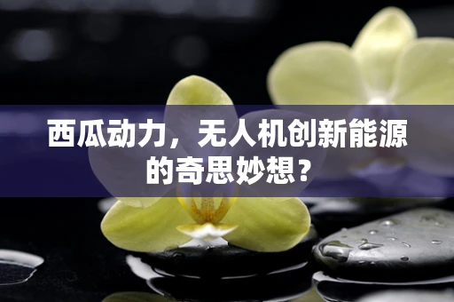 西瓜动力，无人机创新能源的奇思妙想？