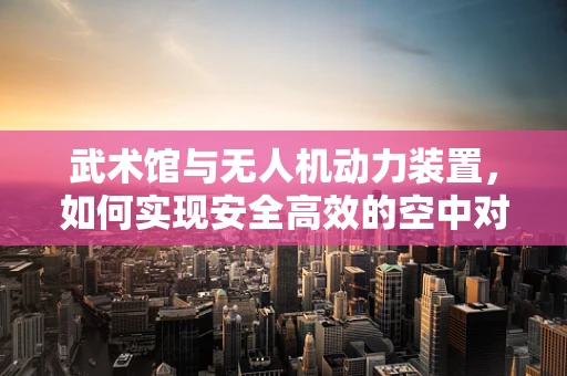 武术馆与无人机动力装置，如何实现安全高效的空中对战？