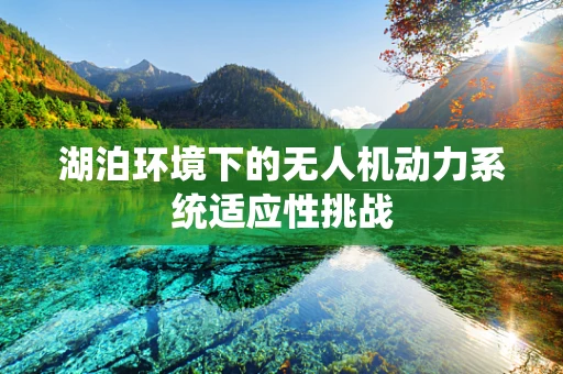 湖泊环境下的无人机动力系统适应性挑战