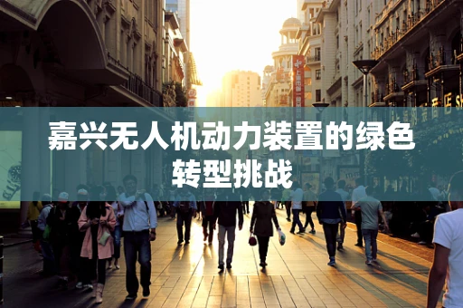 嘉兴无人机动力装置的绿色转型挑战