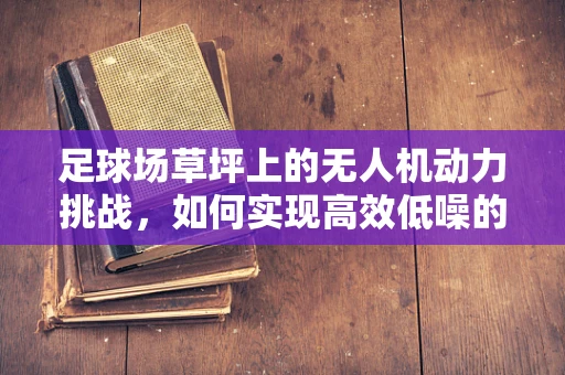 足球场草坪上的无人机动力挑战，如何实现高效低噪的飞行？