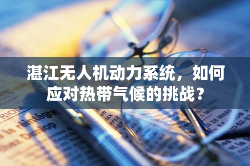 湛江无人机动力系统，如何应对热带气候的挑战？