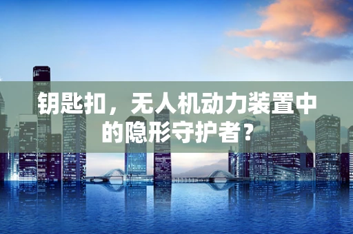 钥匙扣，无人机动力装置中的隐形守护者？