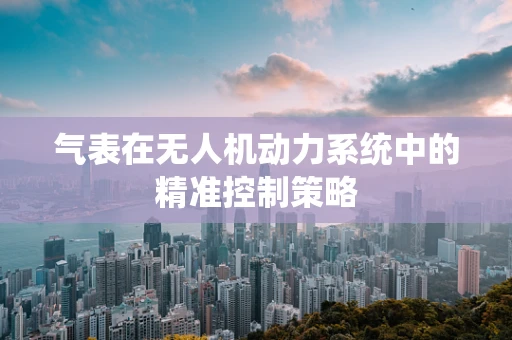 气表在无人机动力系统中的精准控制策略