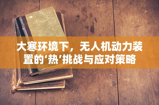大寒环境下，无人机动力装置的‘热’挑战与应对策略