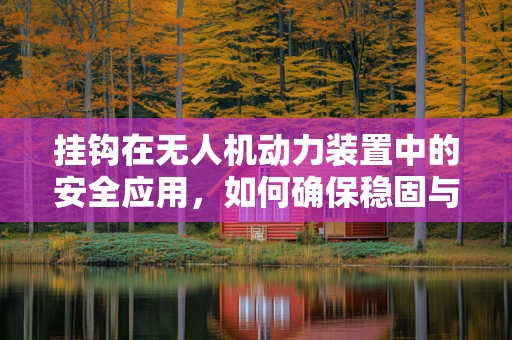 挂钩在无人机动力装置中的安全应用，如何确保稳固与高效？