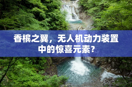 香槟之翼，无人机动力装置中的惊喜元素？