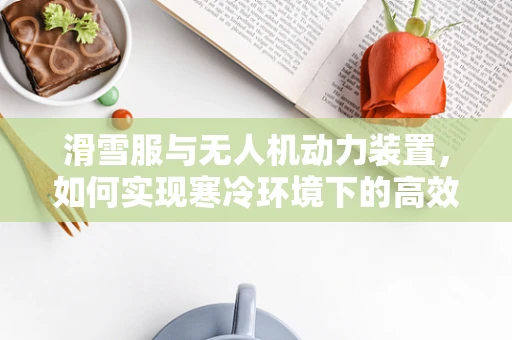 滑雪服与无人机动力装置，如何实现寒冷环境下的高效飞行？