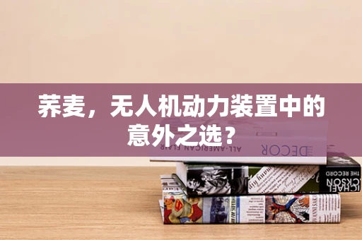 荞麦，无人机动力装置中的意外之选？